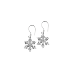 Sterling Silver Diamond Earrings - FE1231