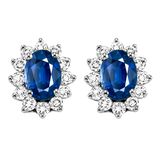 Lady Di Colorstone Ensemble Earrings